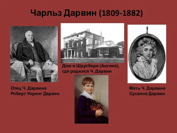 Чарльз Дарвин (1809-1882) Отец Ч. Дарвина Роберт Уоринг Дарвин Мать Ч.