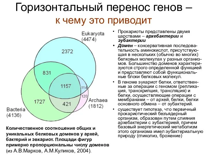 Горизонтальный перенос генов – к чему это приводит Прокариоты представлены двумя