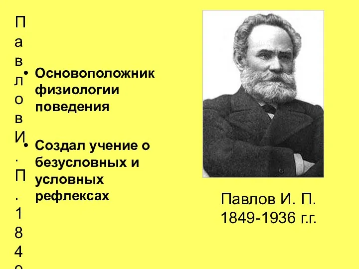 Павлов И. П. 1849-1936 г.г. Основоположник физиологии поведения Создал учение о