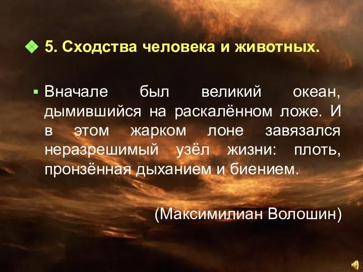 5. Сходства человека и животных. Вначале был великий океан, дымившийся на