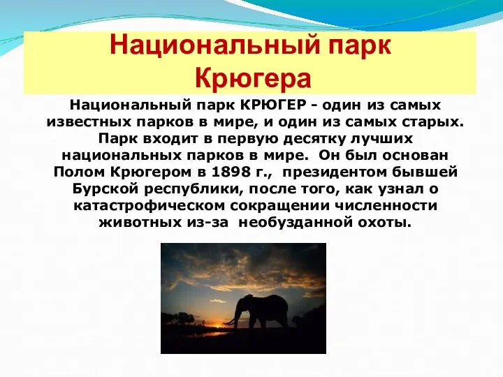 Национальный парк Крюгера Национальный парк КРЮГЕР - один из самых известных