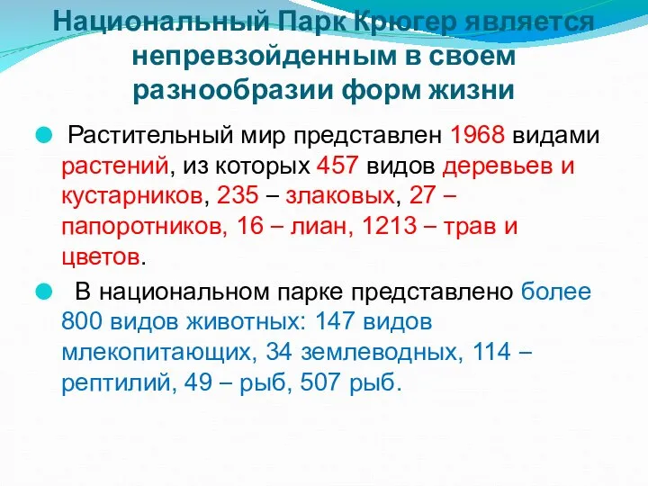 Национальный Парк Крюгер является непревзойденным в своем разнообразии форм жизни Растительный