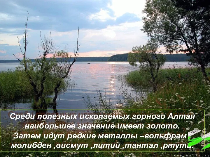 Среди полезных ископаемых горного Алтая наибольшее значение имеет золото. Затем идут