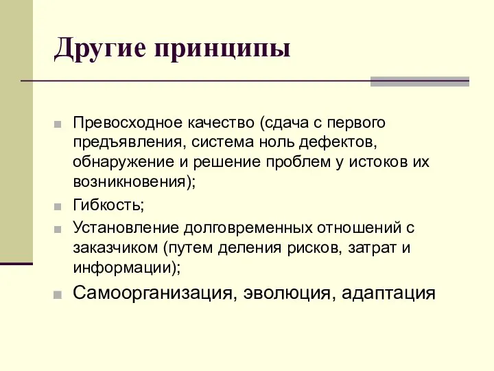 Другие принципы Превосходное качество (сдача с первого предъявления, система ноль дефектов,