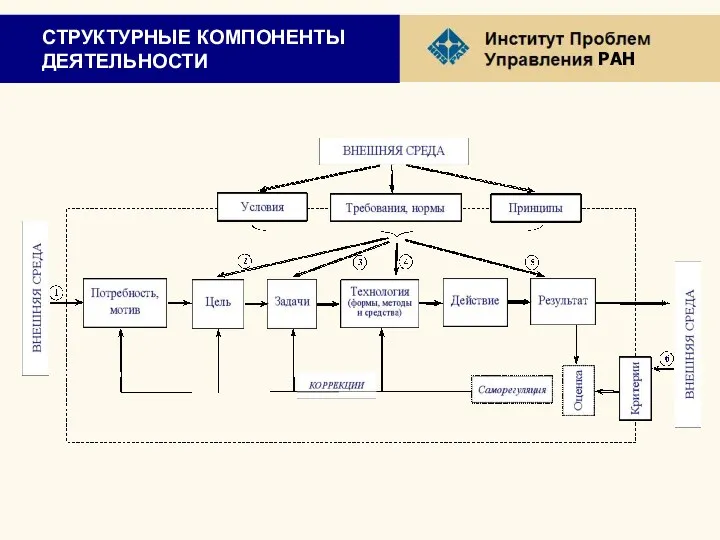 СТРУКТУРНЫЕ КОМПОНЕНТЫ ДЕЯТЕЛЬНОСТИ