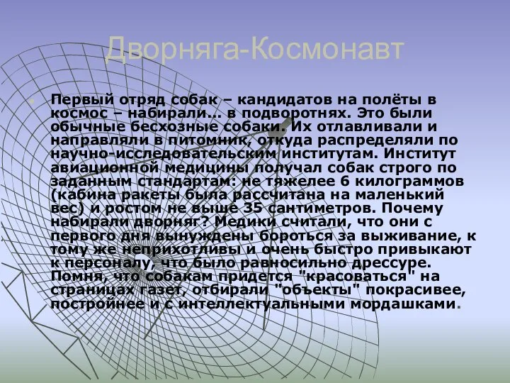 Дворняга-Космонавт Первый отряд собак – кандидатов на полёты в космос –