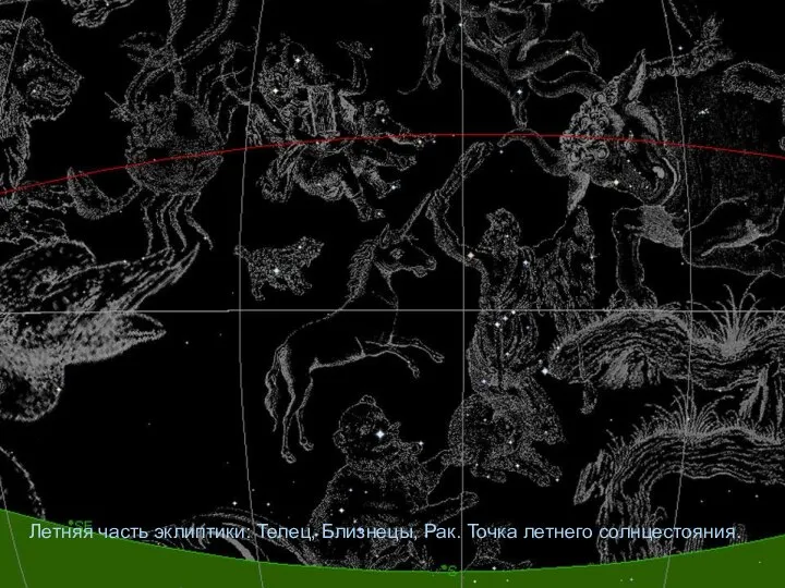 Летняя часть эклиптики: Телец, Близнецы, Рак. Точка летнего солнцестояния.