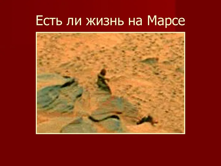 Есть ли жизнь на Марсе