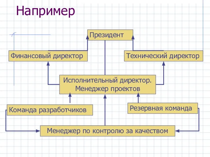 Например Президент Финансовый директор Исполнительный директор. Менеджер проектов Команда разработчиков Резервная