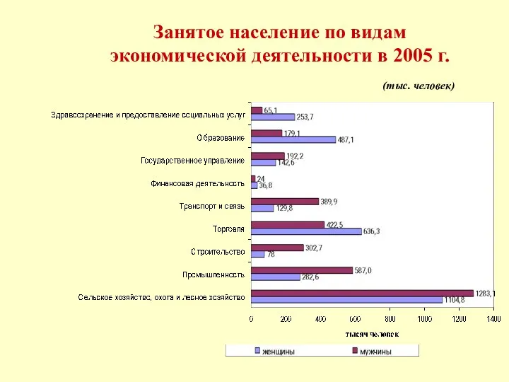 Занятое население по видам экономической деятельности в 2005 г. (тыс. человек)