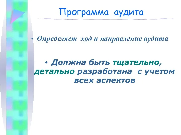 Программа аудита Определяет ход и направление аудита Должна быть тщательно, детально разработана с учетом всех аспектов