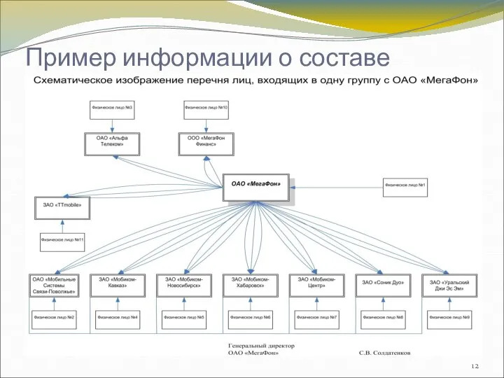 Пример информации о составе группы: на примере ОАО Мегафон