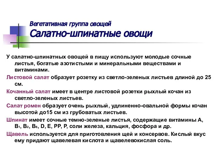 Вегетативная группа овощей Салатно-шпинатные овощи У салатно-шпинатных овощей в пищу используют