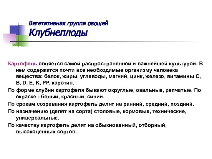 Вегетативная группа овощей Клубнеплоды Картофель является самой распространенной и важнейшей культурой.