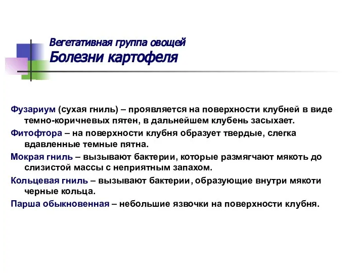 Вегетативная группа овощей Болезни картофеля Фузариум (сухая гниль) – проявляется на