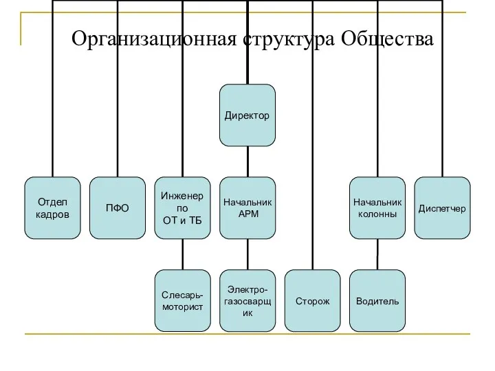 Организационная структура Общества
