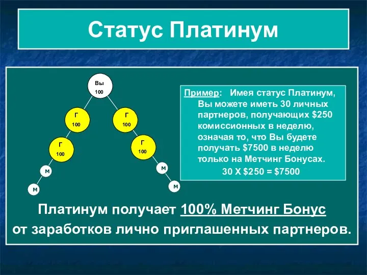 Статус Платинум Платинум получает 100% Метчинг Бонус от заработков лично приглашенных