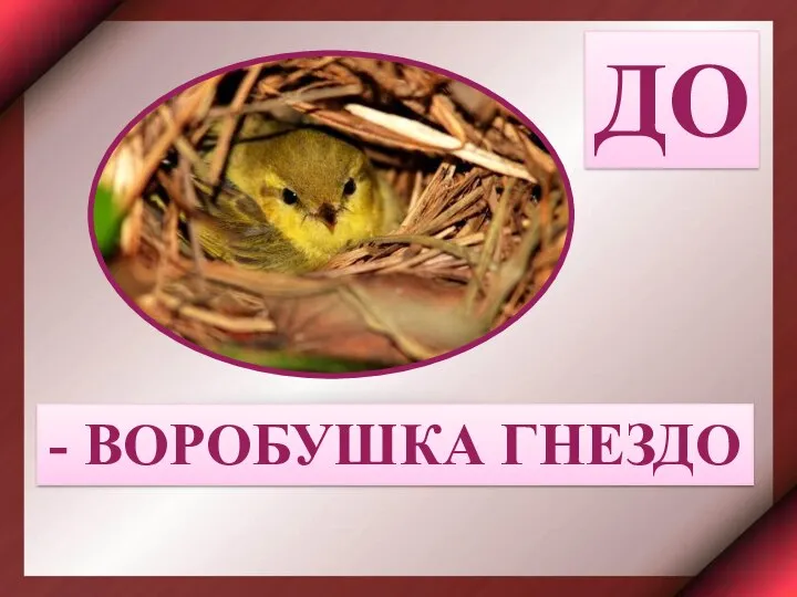 ДО - ВОРОБУШКА ГНЕЗДО