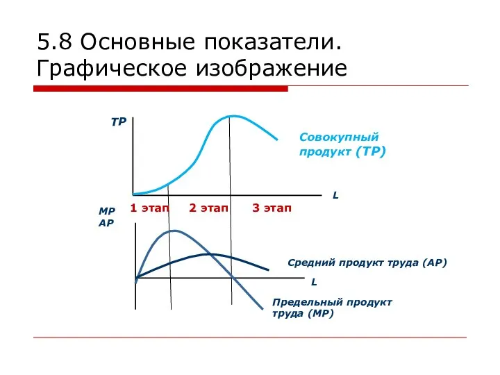 5.8 Основные показатели.Графическое изображение ТР L Совокупный продукт (ТР) Предельный продукт труда (МР)