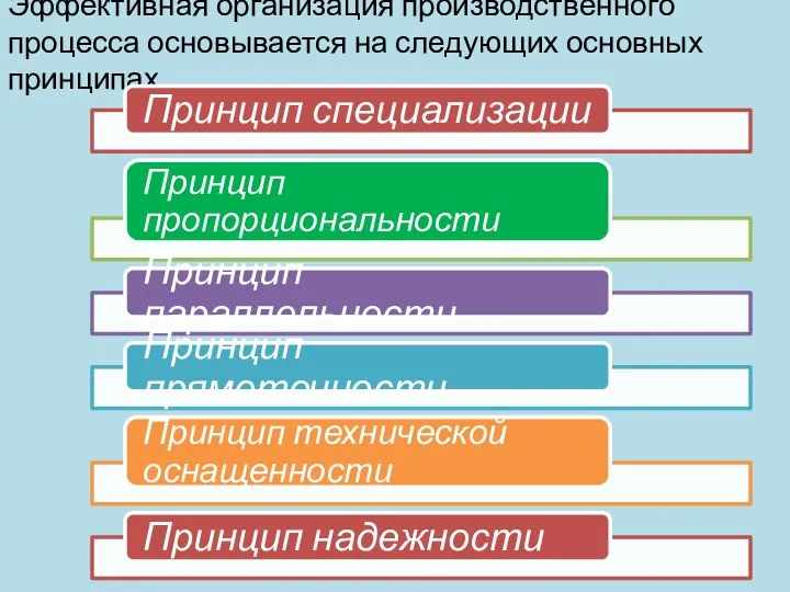 Эффективная организация производственного процесса основывается на следующих основных принципах.