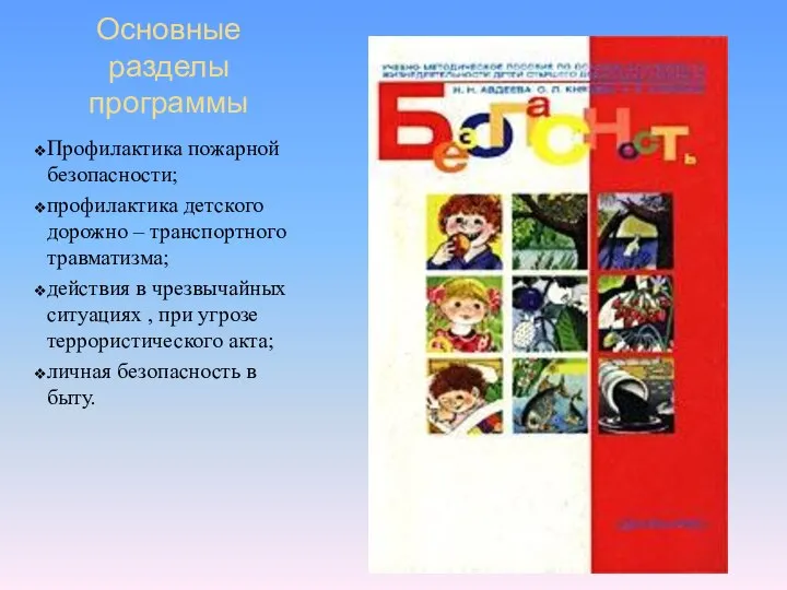 Основные разделы программы Профилактика пожарной безопасности; профилактика детского дорожно – транспортного