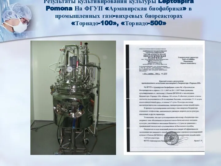 Результаты культивирования культуры Leptospira Pomona На ФГУП «Армавирская биофабрика» в промышленных газо-вихревых биореакторах«Торнадо-100», «Торнадо-500»