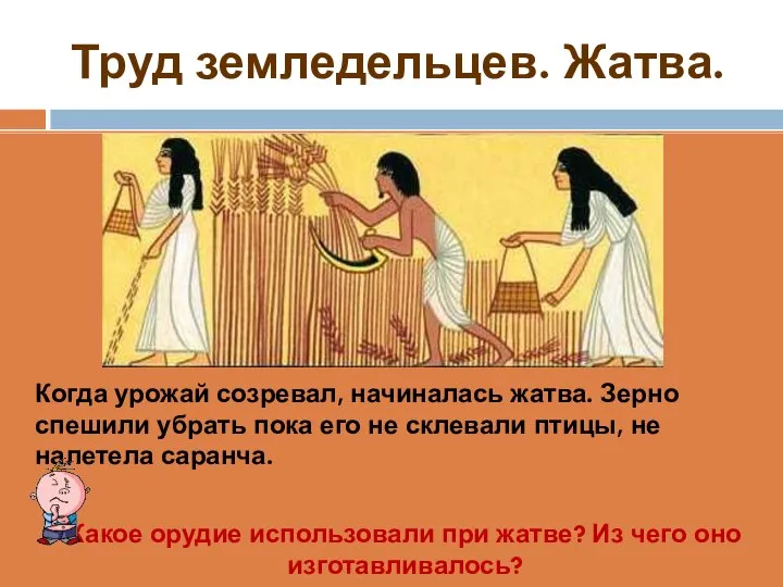 Труд земледельцев. Жатва. Когда урожай созревал, начиналась жатва. Зерно спешили убрать