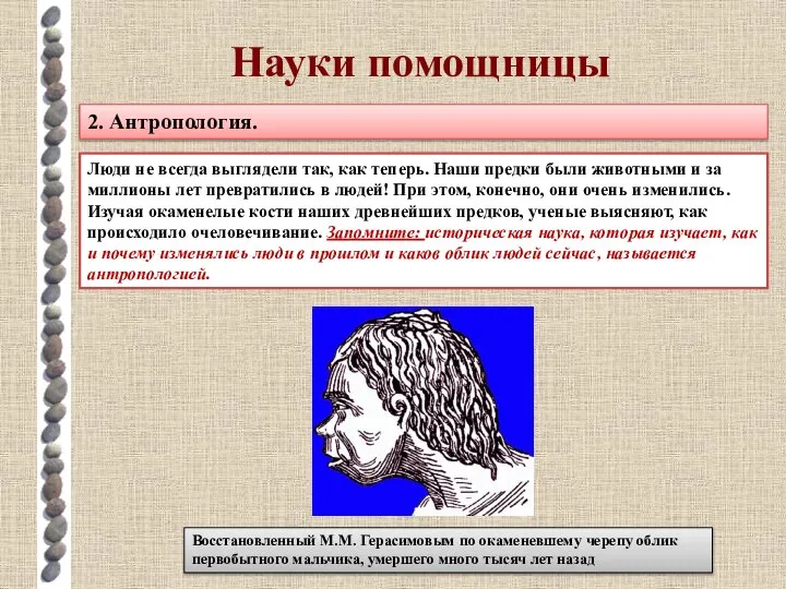 Науки помощницы 2. Антропология. Люди не всегда выглядели так, как теперь.