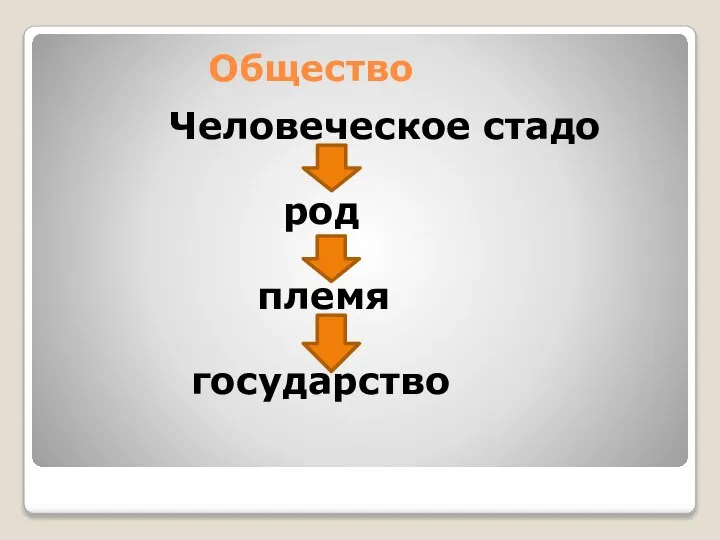 Общество Человеческое стадо род племя государство