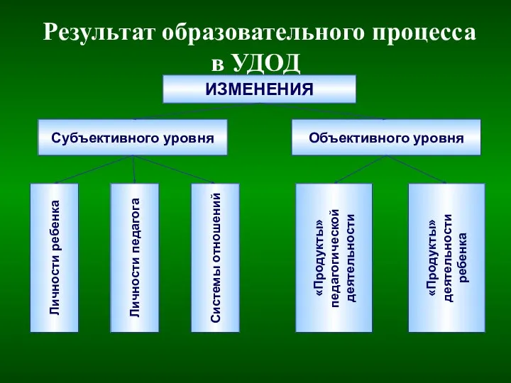 Результат образовательного процесса в УДОД ИЗМЕНЕНИЯ Субъективного уровня Объективного уровня Личности