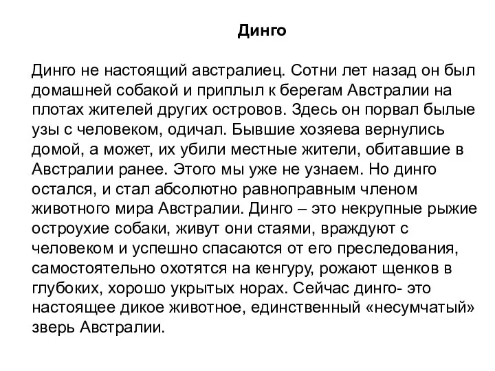 Динго Динго не настоящий австралиец. Сотни лет назад он был домашней