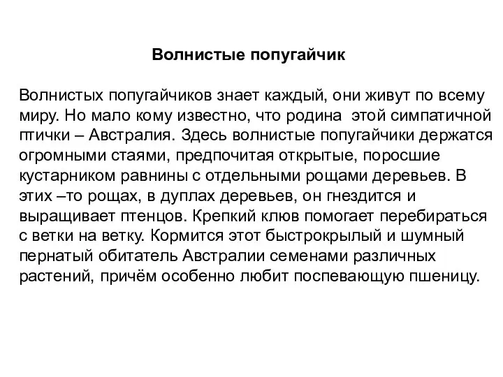 Волнистые попугайчик Волнистых попугайчиков знает каждый, они живут по всему миру.