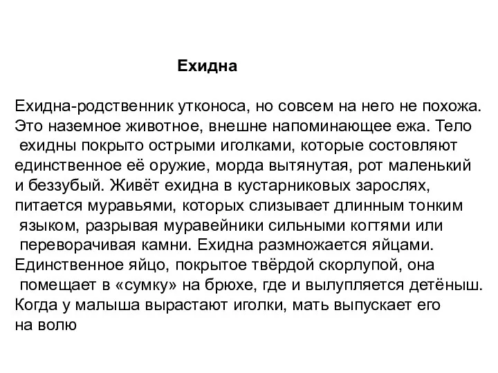 Ехидна Ехидна-родственник утконоса, но совсем на него не похожа. Это наземное