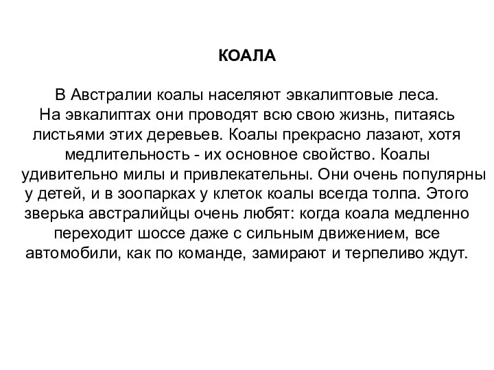 КОАЛА В Австралии коалы населяют эвкалиптовые леса. На эвкалиптах они проводят