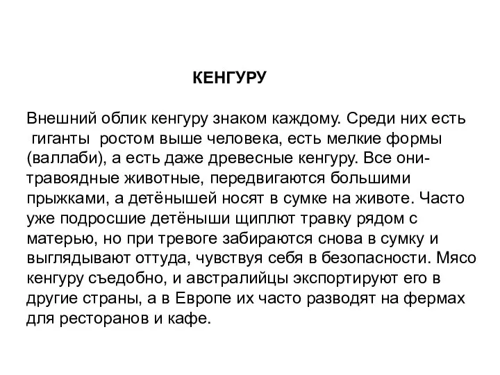 КЕНГУРУ Внешний облик кенгуру знаком каждому. Среди них есть гиганты ростом