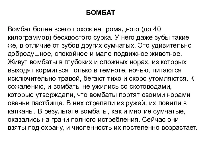 БОМБАТ Вомбат более всего похож на громадного (до 40 килограммов) бесхвостого