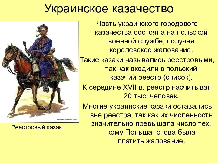 Украинское казачество Часть украинского городового казачества состояла на польской военной службе,