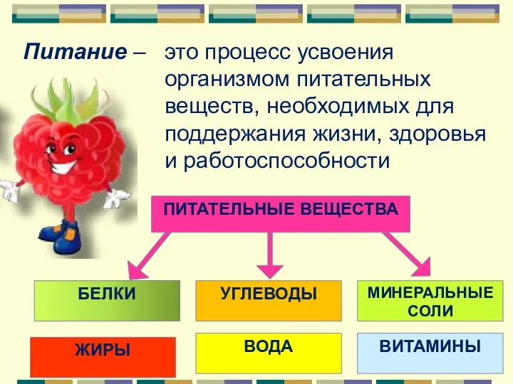 это процесс усвоения организмом питательных веществ, необходимых для поддержания жизни, здоровья