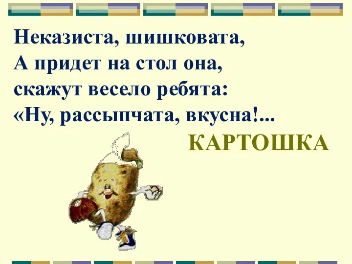 Неказиста, шишковата, А придет на стол она, скажут весело ребята: «Ну, рассыпчата, вкусна!... КАРТОШКА