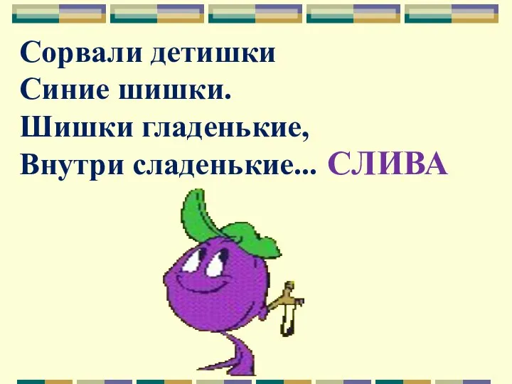 Сорвали детишки Синие шишки. Шишки гладенькие, Внутри сладенькие... СЛИВА