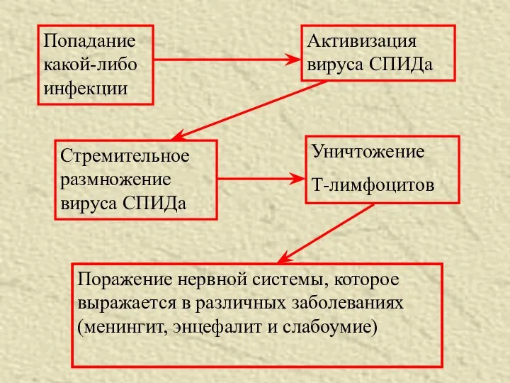 Попадание какой-либо инфекции Активизация вируса СПИДа Стремительное размножение вируса СПИДа Уничтожение