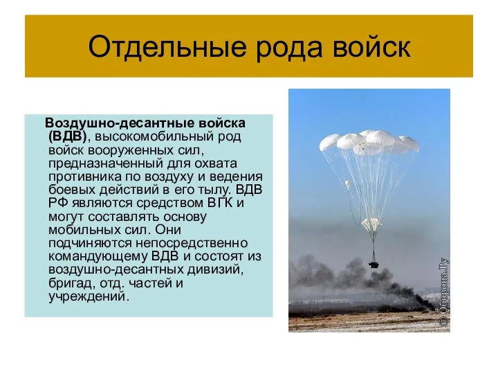 Отдельные рода войск Воздушно-десантные войска (ВДВ), высокомобильный род войск вооруженных сил,