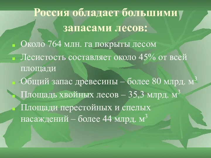 Россия обладает большими запасами лесов: Около 764 млн. га покрыты лесом