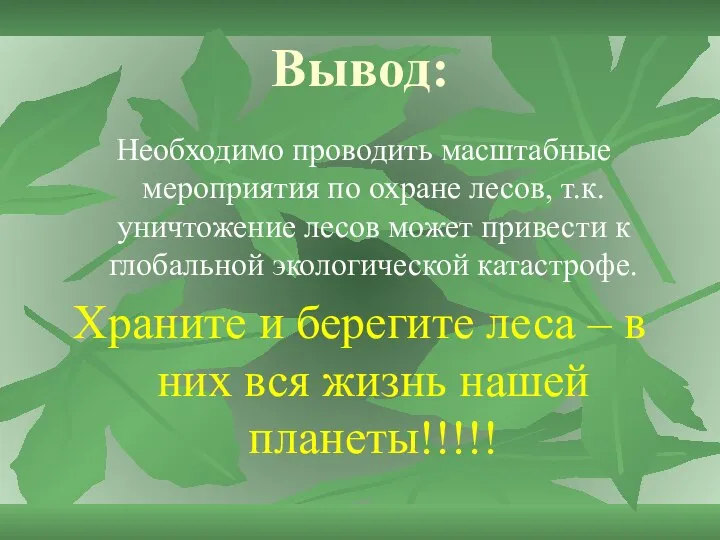 Вывод: Необходимо проводить масштабные мероприятия по охране лесов, т.к. уничтожение лесов