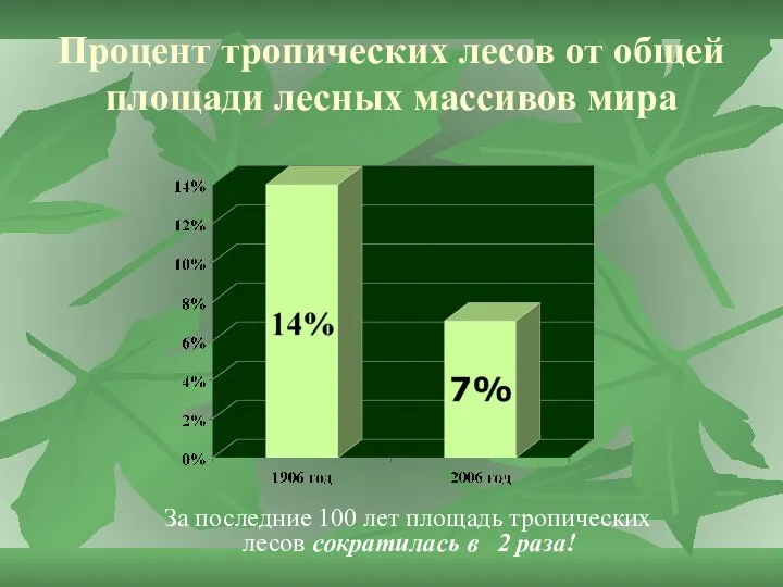 За последние 100 лет площадь тропических лесов сократилась в 2 раза!