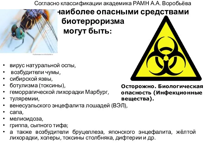 Согласно классификации академика РАМН А.А. Воробьёва наиболее опасными средствами биотерроризма могут