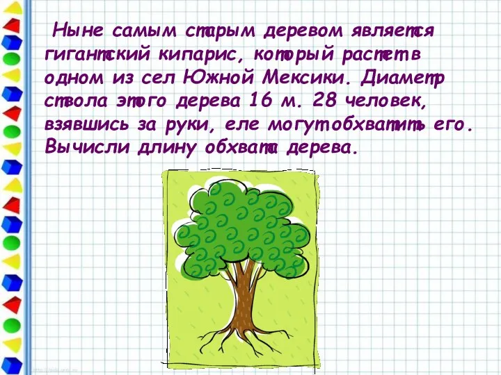 Ныне самым старым деревом является гигантский кипарис, который растет в одном