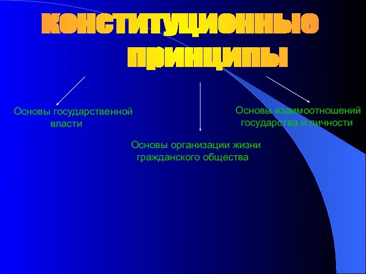 конституционные принципы Основы государственной власти Основы взаимоотношений государства и личности Основы организации жизни гражданского общества