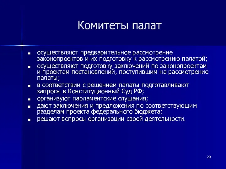 Комитеты палат осуществляют предварительное рассмотрение законопроектов и их подготовку к рассмотрению