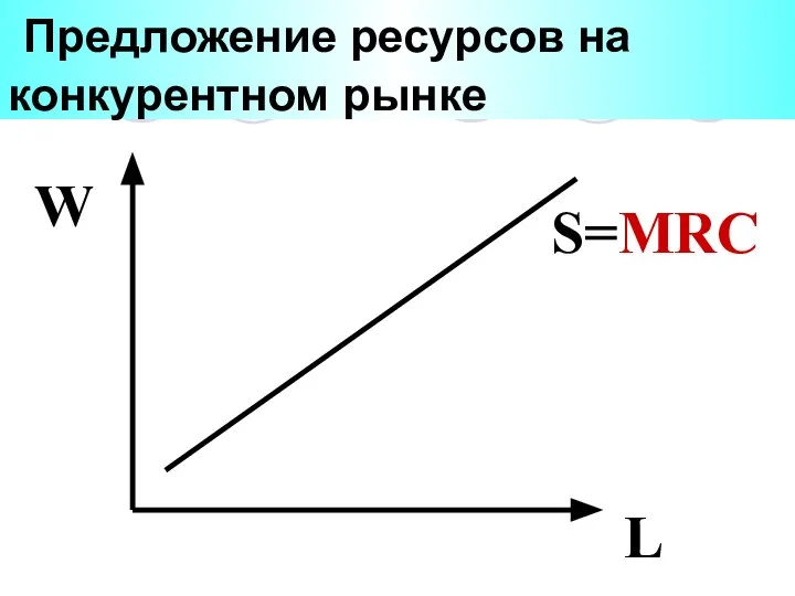 Предложение ресурсов на конкурентном рынке W L S=MRC